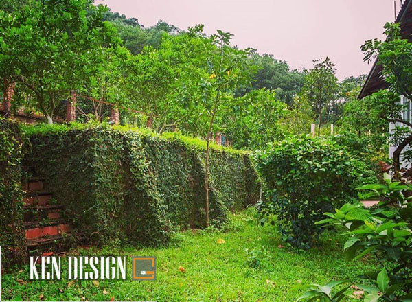 Những homestay đẹp ở ngoại thành Hà Nội
